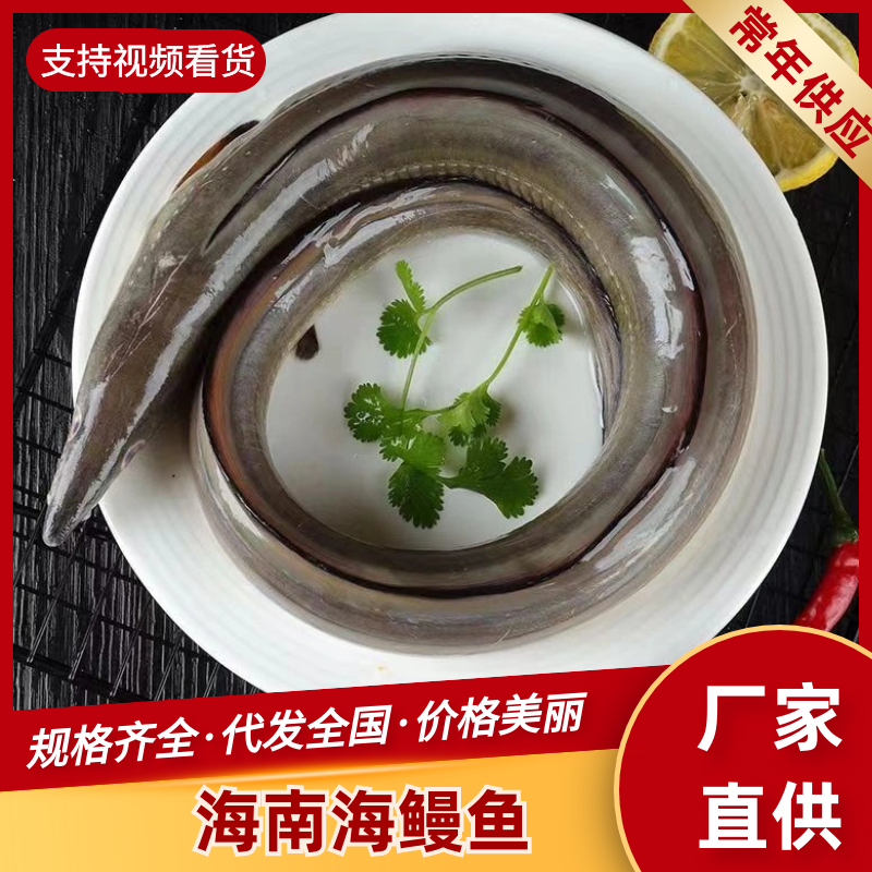 海南黑鳗鱼，活杀去骨大量供应，品质保障，接商超市场电商