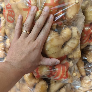山东大姜新鲜现挖肉厚饱满农家自种生姜当季鲜姜