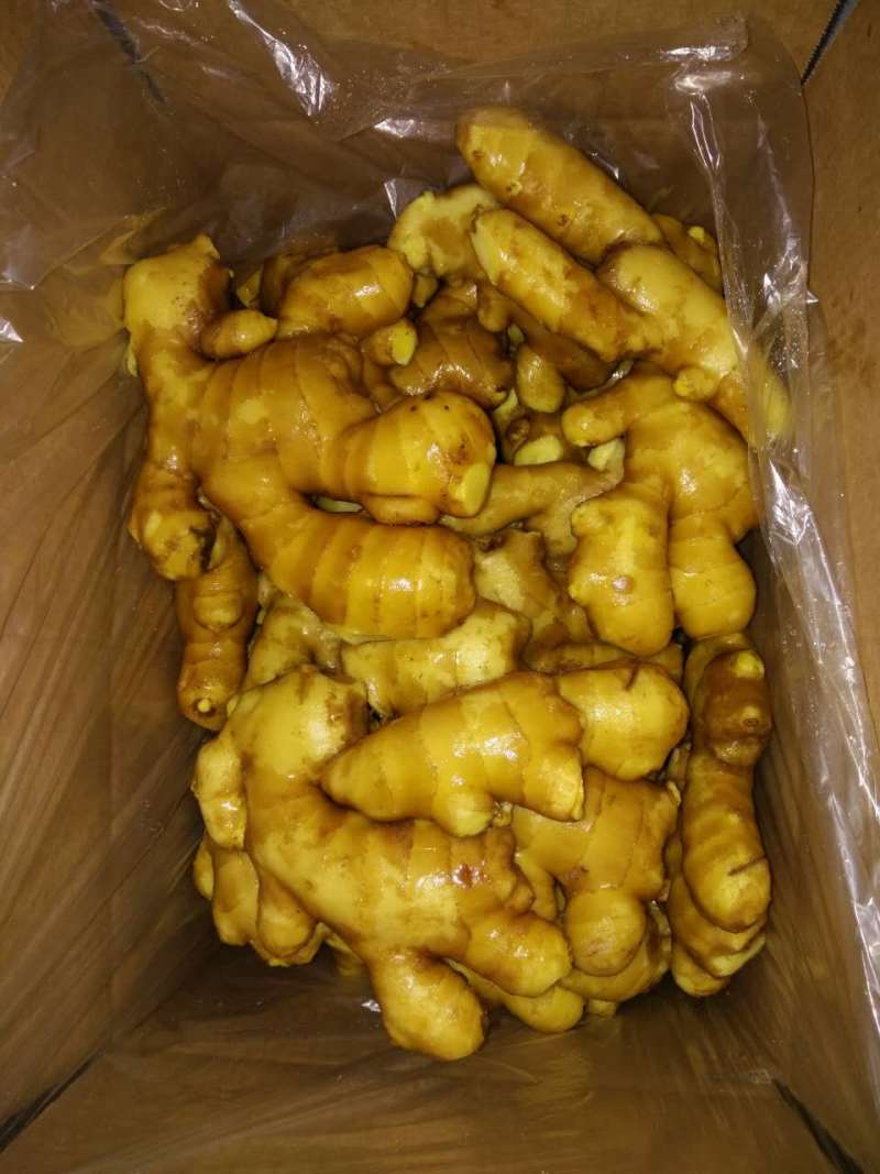 山东鲜姜现挖农家自种山东生姜新鲜直达无硫熏