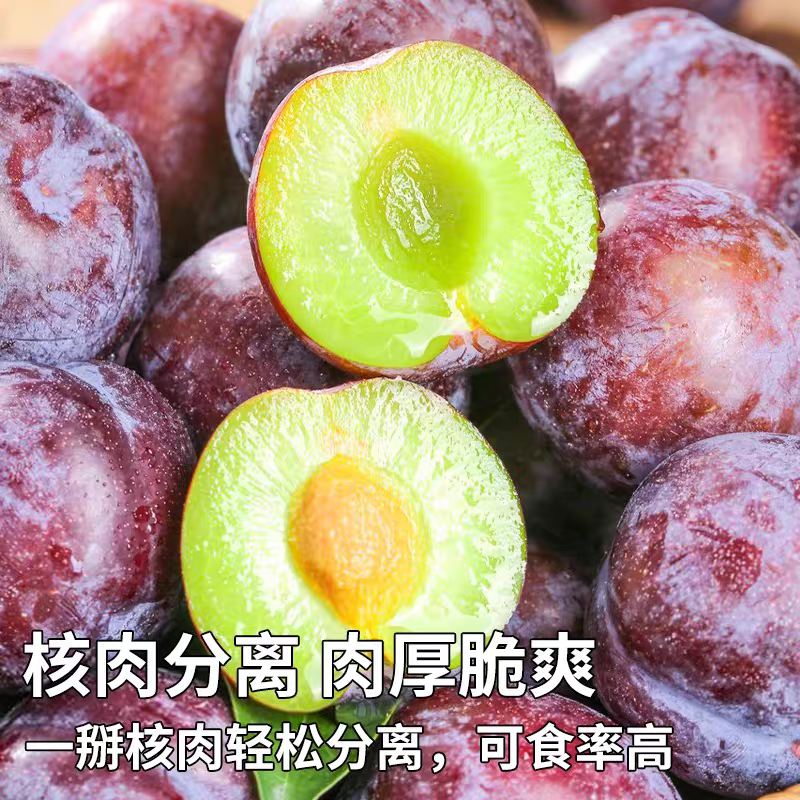 【一件代发】四川五月脆李子支持各大电商平台代发