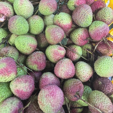 妃子笑荔枝广东产地直供质量保证一手货源对接商超市场