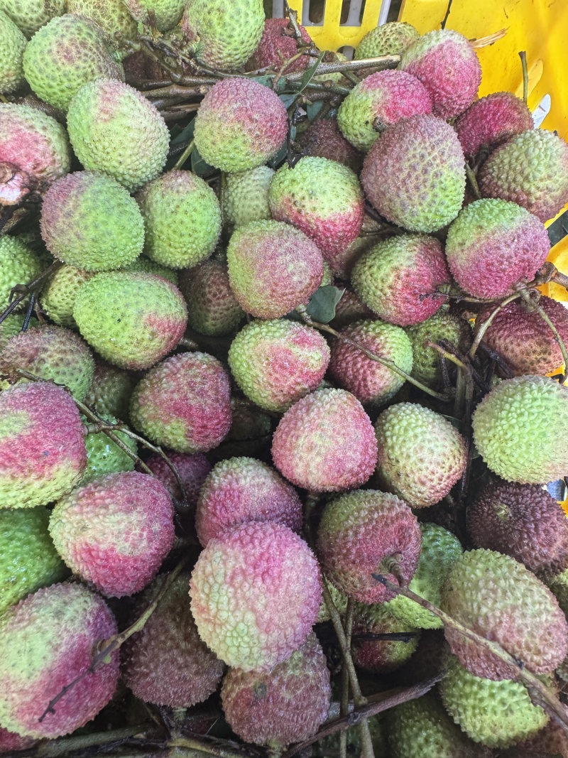 妃子笑荔枝广东产地直供质量保证一手货源对接商超市场