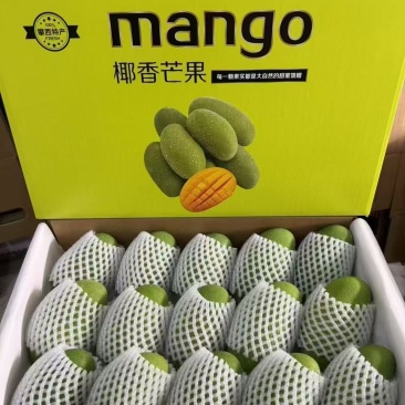 一件代发椰香芒果攀枝花产地现摘现发坏果包赔
