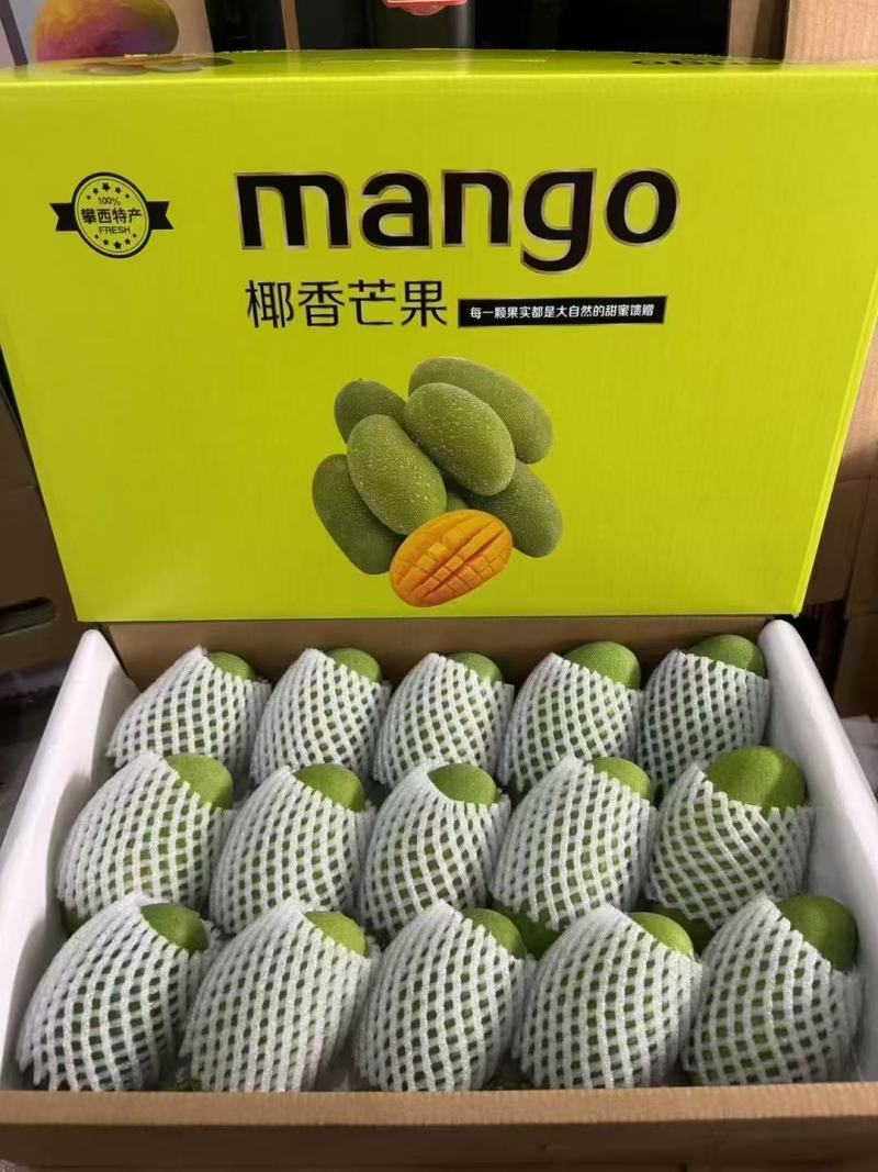 一件代发椰香芒果攀枝花产地现摘现发坏果包赔