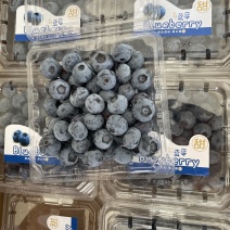 精品蓝莓，一手货源，品种全价格优，诚信经营，提供一条龙服务
