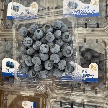 精品蓝莓，一手货源，品种全价格优，诚信经营，提供一条龙服务