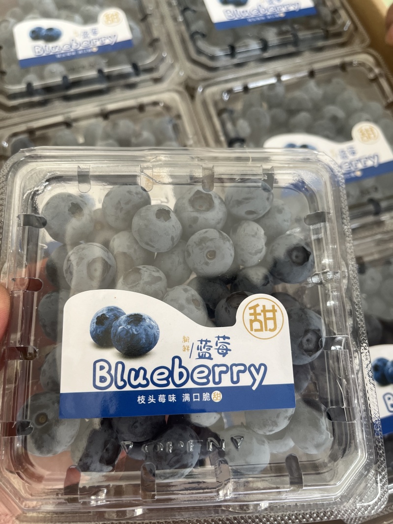 瑞卡蓝莓，产地供应，一手货源，可视频看货，量大从优