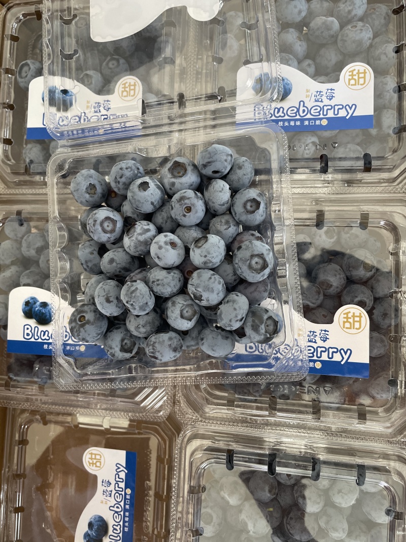 东北蓝莓瑞卡自由蓝金等，品种齐全，可对接电商商超等