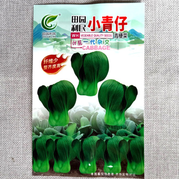 小青仔青梗菜种子矮脚青菜种子生长速度快甜嫩留香