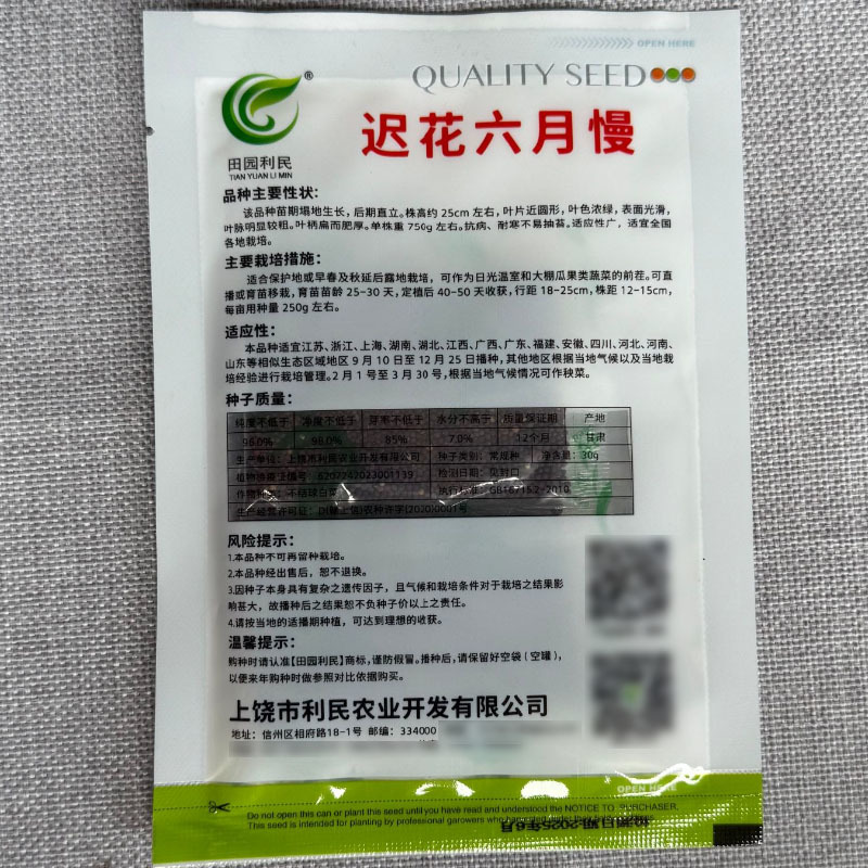 迟花六月慢青梗菜种子耐寒耐抽苔抗病叶色浓绿