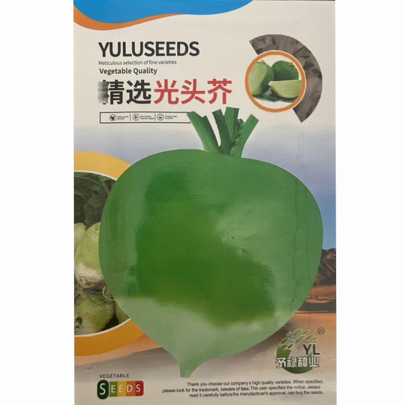 大头菜种子光头芥菜疙瘩榨菜芥菜种籽腌咸泡菜