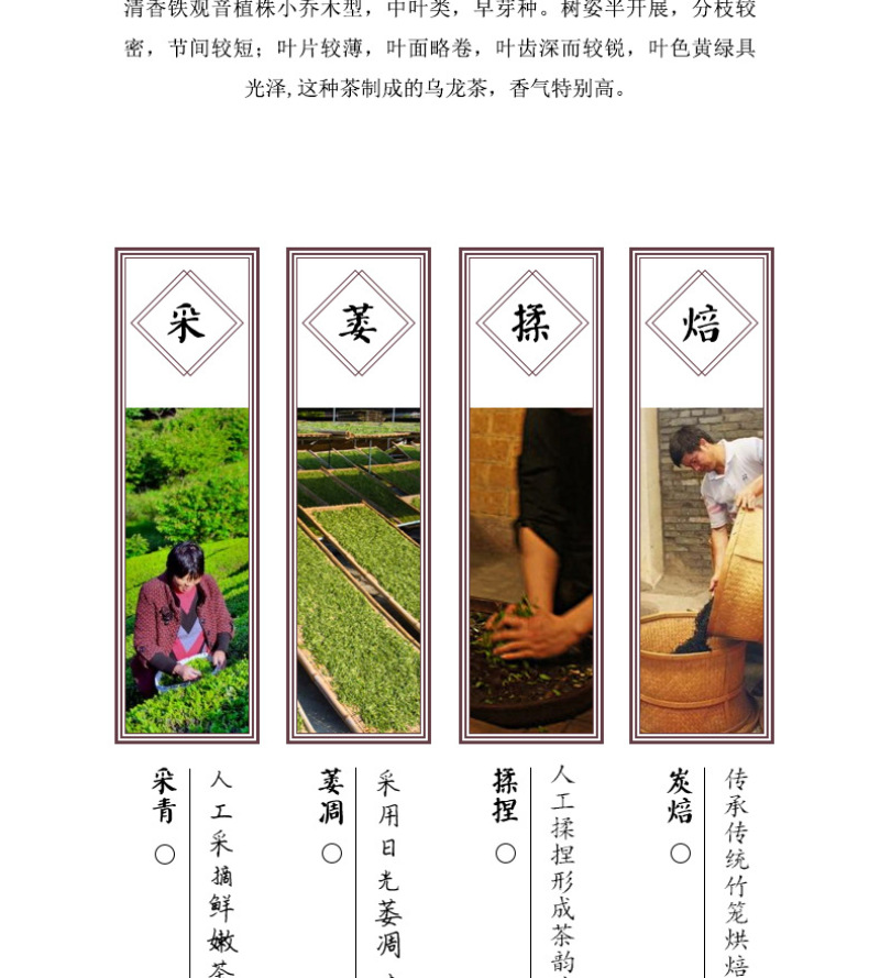 茶农铁观音直销