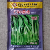 C50菜心种子中早熟翠绿色菜苔高产抗病甜菜心种籽质脆