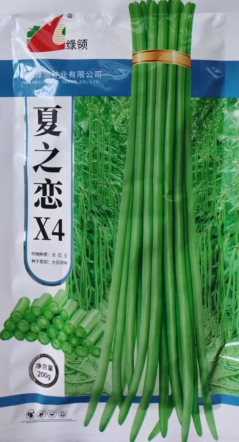 绿领夏之恋X3X4豆角种子豇豆种籽耐热夏季长豆角肉厚翠绿