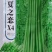 绿领夏之恋X3X4豆角种子豇豆种籽耐热夏季长豆角肉厚翠绿