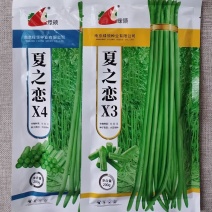 绿领夏之恋X3X4豆角种子豇豆种籽耐热夏季长豆角肉厚翠绿