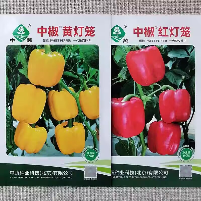 中椒甜椒种子黄灯笼红灯笼彩椒种籽抗病高产杂交辣椒彩色方椒