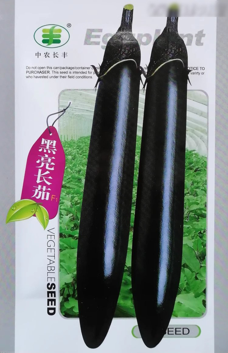 黑亮长茄种子早熟杂交黑茄种籽黑又亮有光泽口感绵软高产抗病