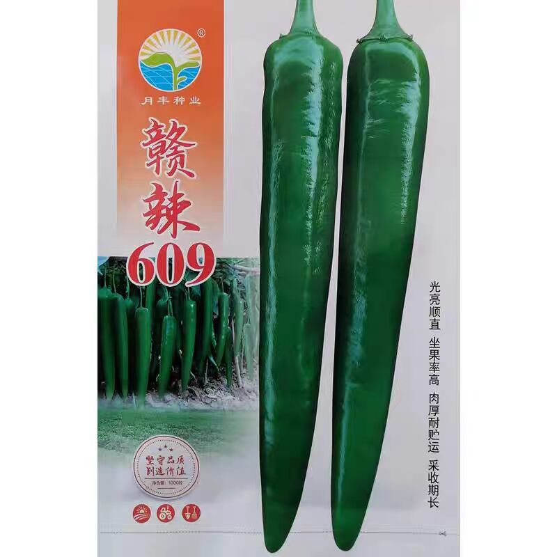 赣辣609辣椒种子亮绿顺直美观坐果率高早熟青皮尖椒种子