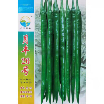 月丰26号线椒种子早中熟长果线辣椒种籽椒条顺直光亮辣味香