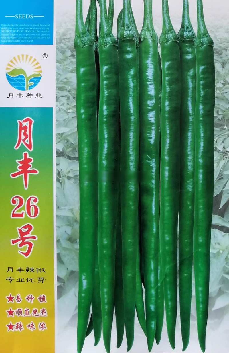 月丰26号线椒种子早中熟长果线辣椒种籽椒条顺直光亮辣味香