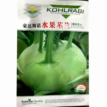 水果味苤蓝种子皮薄味甜脆嫩生长速度快不易裂果春秋基地