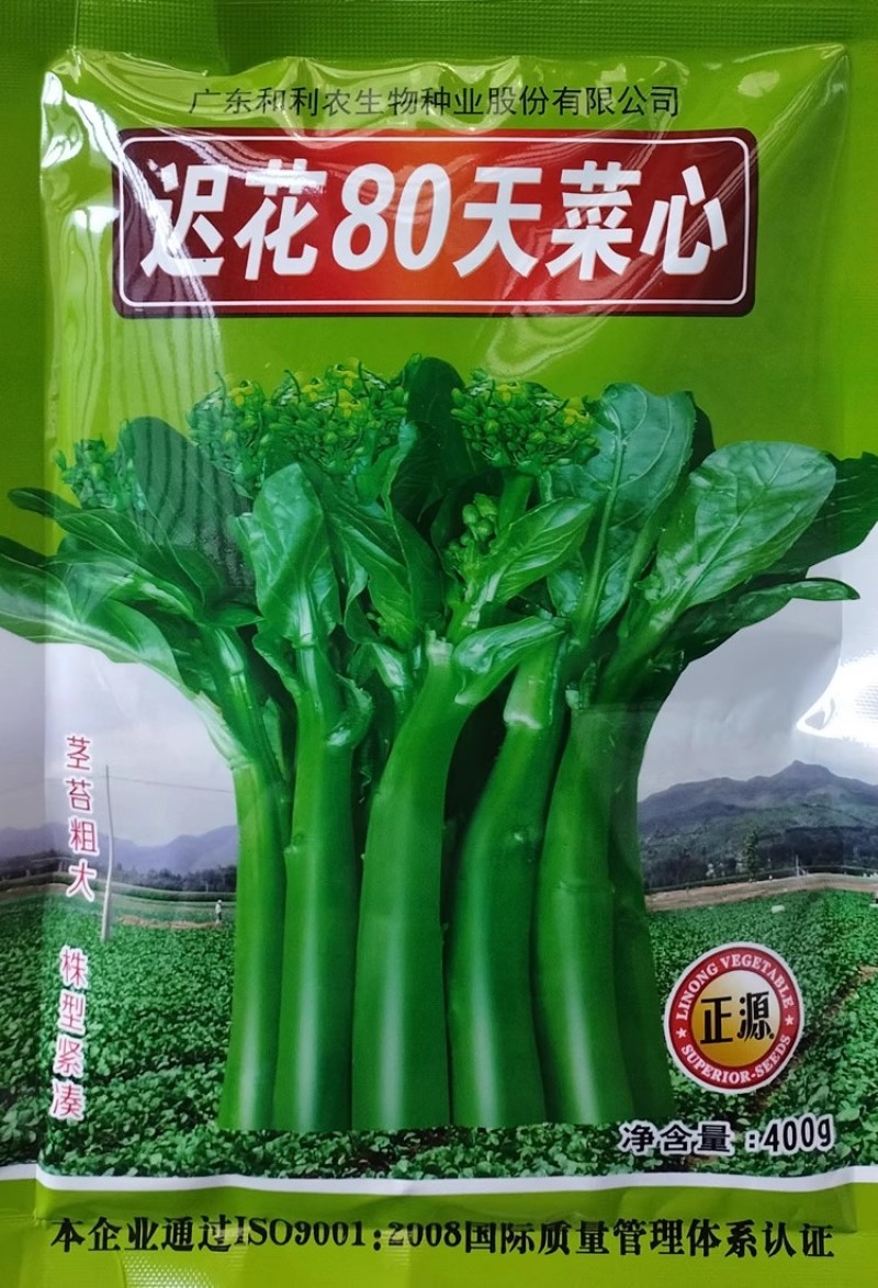 迟花80天菜心种子甜菜芯菜苔油绿晚熟大种80菜心种子
