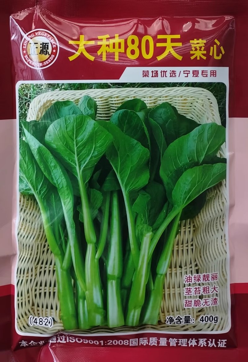迟花80天菜心种子甜菜芯菜苔油绿晚熟大种80菜心种子