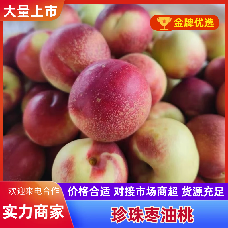 珍珠枣油桃山东桃山东油桃产地直发口感脆甜量大优惠