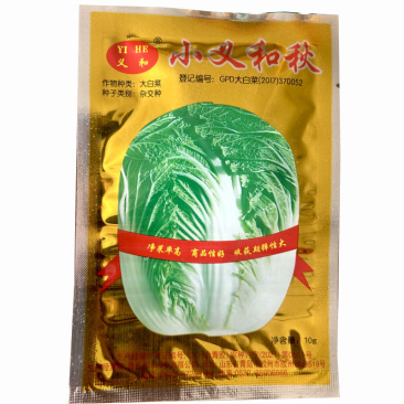 小义和秋白菜种子杂交种胶州北方耐寒高产白菜大田基地