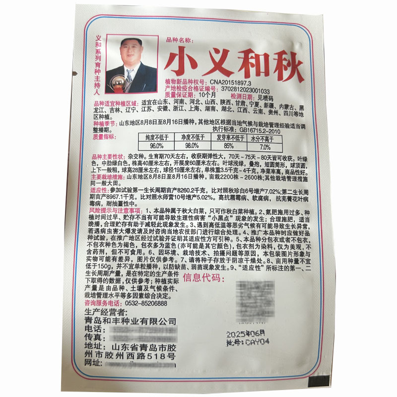 小义和秋白菜种子杂交种胶州北方耐寒高产白菜大田基地