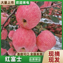 红富士苹果，口感脆甜色泽靓丽，诚信代办全国发货