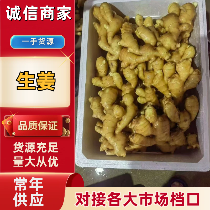 生姜【产地大降价】鲜姜代存一手货源全年供应