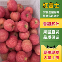 精品红富士苹果产地一手货源，万亩果园货源充足