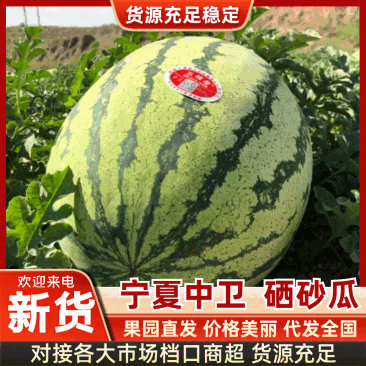 宁夏中卫香山硒砂瓜石头瓜代办代理专业团队模式量大从优