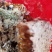 【实力供货】江西深山百花土蜂蜜一年取一次批发零售量大从优