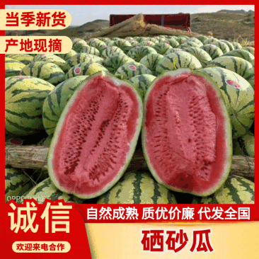 【牛商优选】宁夏硒砂瓜中卫硒砂瓜皮薄多汁甜度高包熟