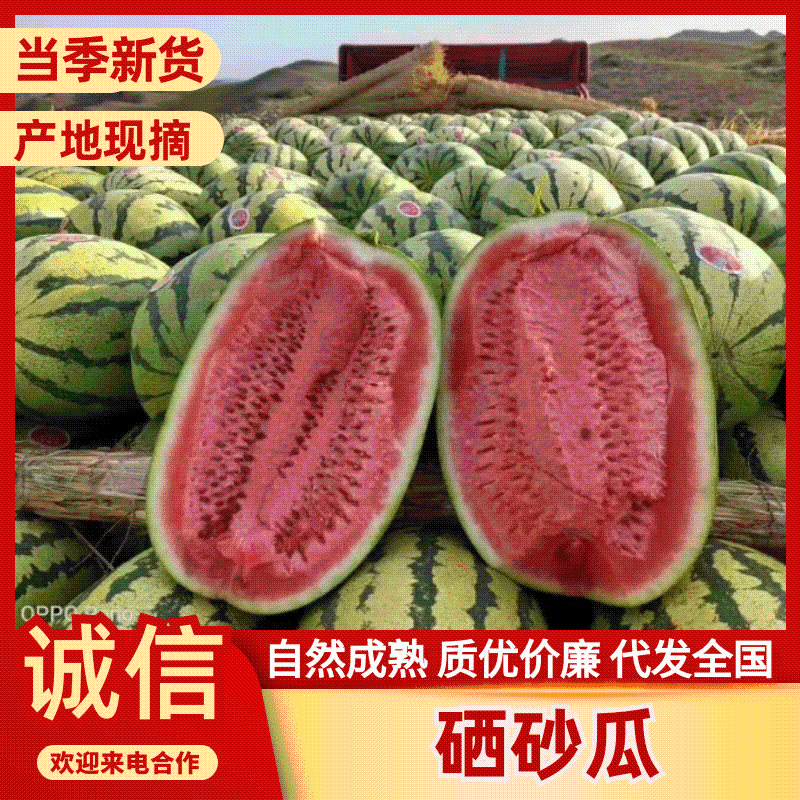 【牛商优选】宁夏硒砂瓜中卫硒砂瓜皮薄多汁甜度高包熟