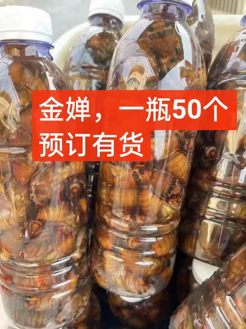 河南知了猴冷链发货全国供应可视频看货接受预定