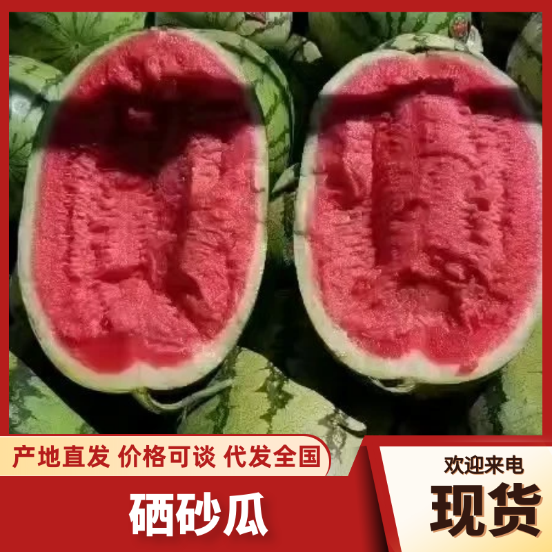 【推荐】宁夏金城5号西瓜包熟包甜一条龙服务欢迎来电咨询