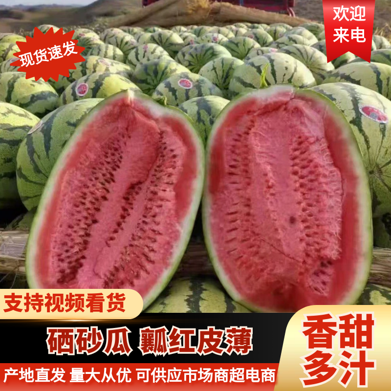 精品西瓜宁夏硒砂瓜包熟包甜全国代发欢迎来电咨询
