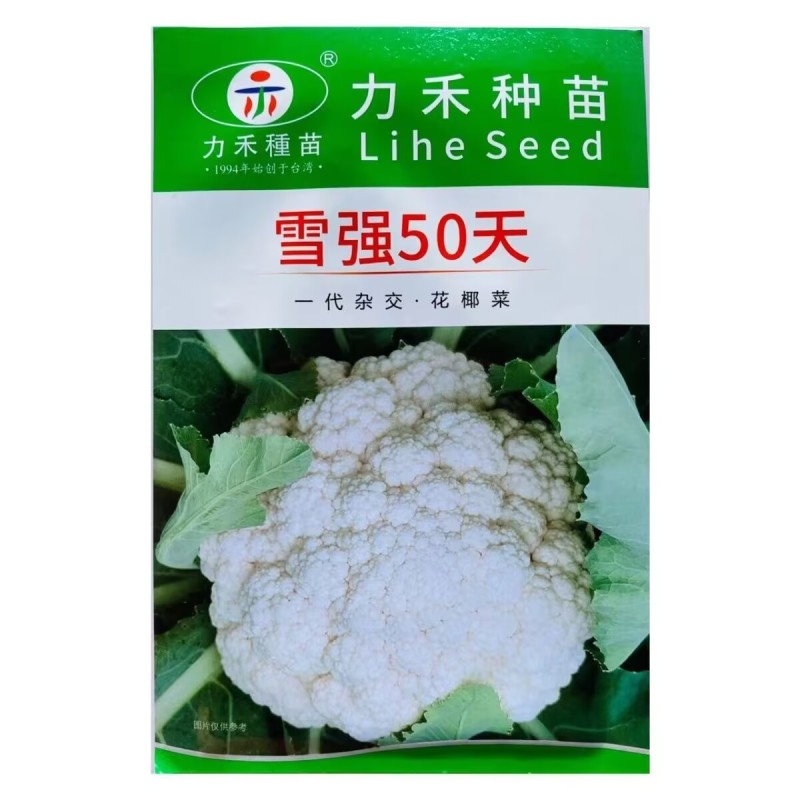雪强50天花椰菜种子一代杂交花球圆整美观花球白