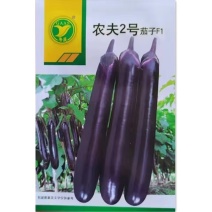 农夫2号3号长茄种子广东农科紫红长茄种子果皮深紫