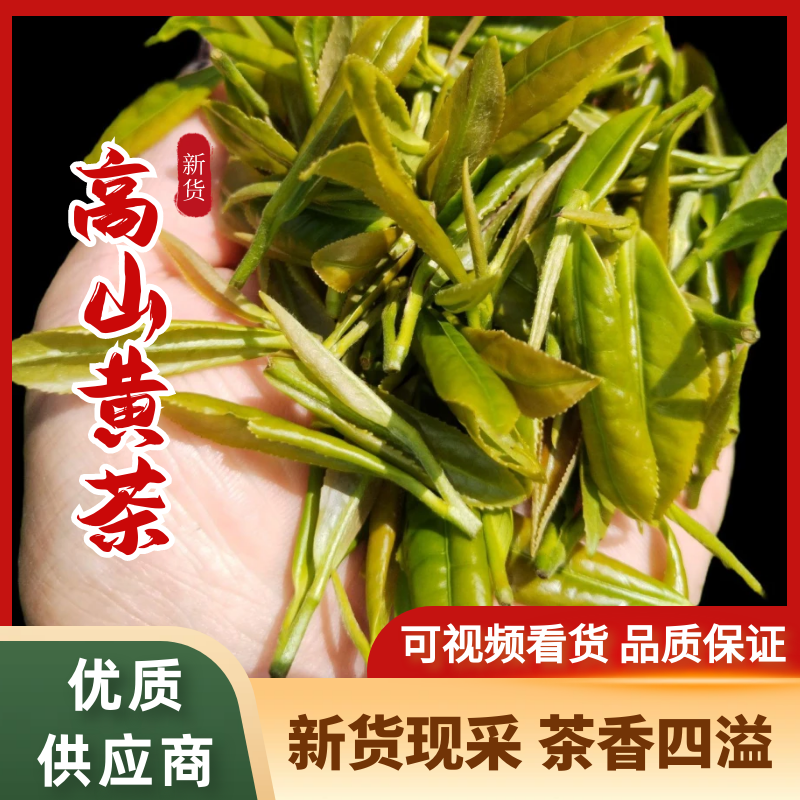 【精选】六安高山黄茶自家茶园直供品质保障欢迎咨询下单
