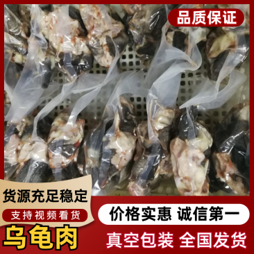 乌龟肉中华草龟肉去皮去内脏净龟肉