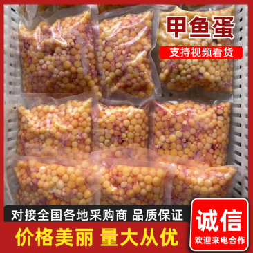 甲鱼蛋基地直发，对接全国保质保量售后无忧