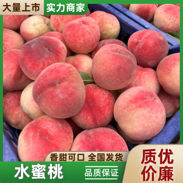 安徽砀山水蜜桃毛桃大量现货供应（自产直销）现摘现发品质高