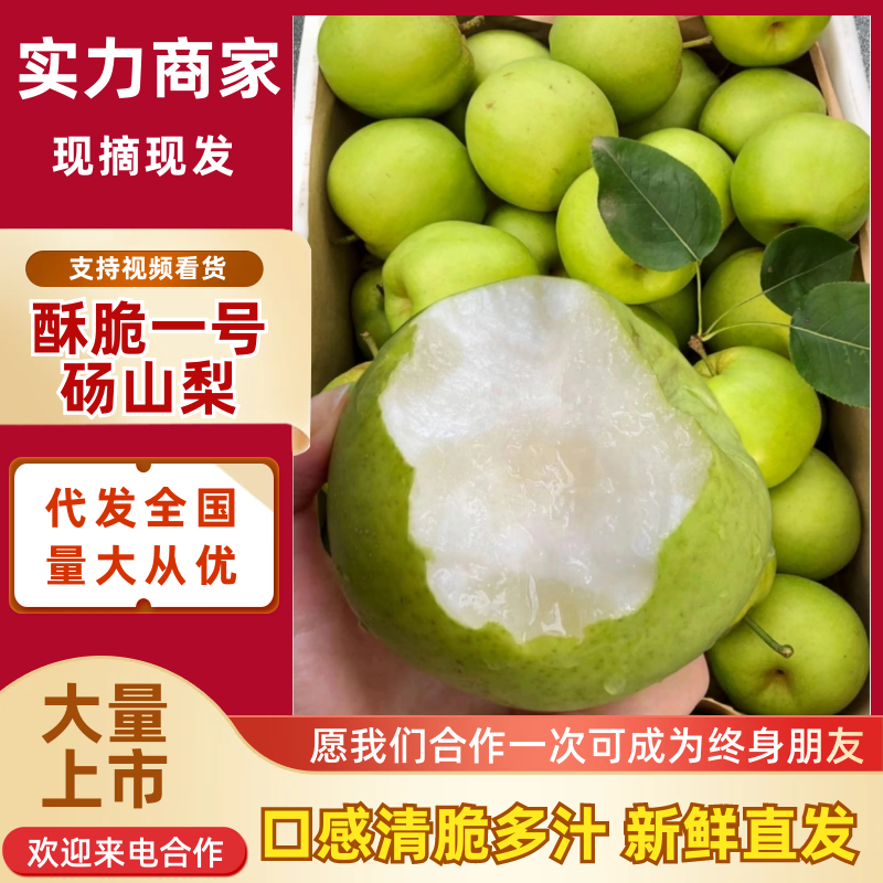 砀山梨酥脆一号现摘现发，脆甜多汁，品质好口感好，欢迎电联