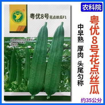 粤优8号花点丝瓜种子瓜皮绿色带花点口感爽脆清甜