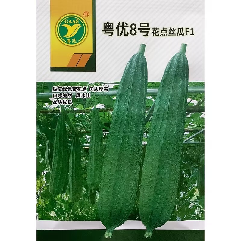 粤优8号花点丝瓜种子瓜皮绿色带花点口感爽脆清甜